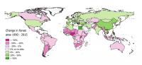 Change in Forest Area, 1990-2015