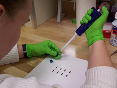 Small Piezoelectric Quartz Crystals (1 of 2)