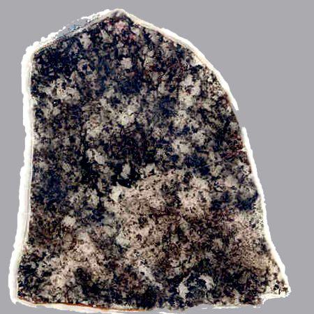 Fossils 1.8 Billion Years Old