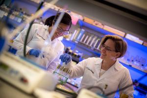 Dean Pogliano in the lab