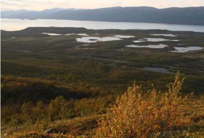 Stordalen Catchment with the Lake Torneträsk in the Background