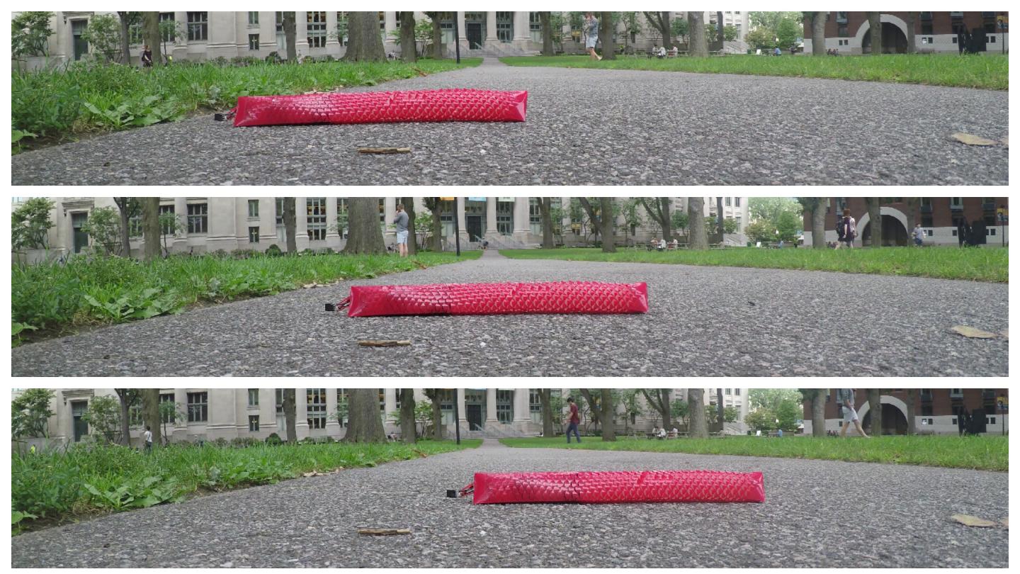 Untethered Soft Crawler