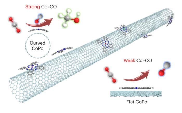 The curved carbon nanotube surface