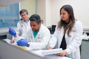 T Cell study photo