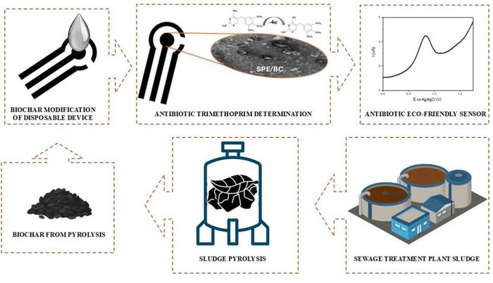 Disposable eco-friendly electrochemical device for trimethoprim antibiotic determination using biochar from sewage treatment plant sludge