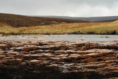 Dry River Bed