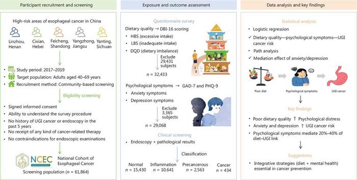 The flowchart illustrates the recruitment and screening process for the baseline survey of the National Cohort of Esophageal Cancer (2017–2019).