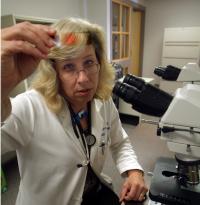 New Treatment Option Studied for Bladder Cancer (2 of 2)