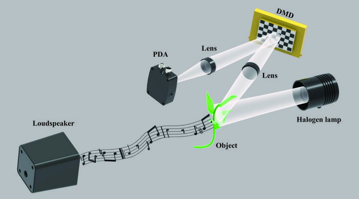 Visual microphone detection system