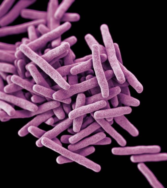 PLOS Special Collection Launch: Shaping Novel TB Treatments