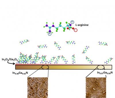 Researchers Find New Way to Make Gradients, Understand Molecular Interactions