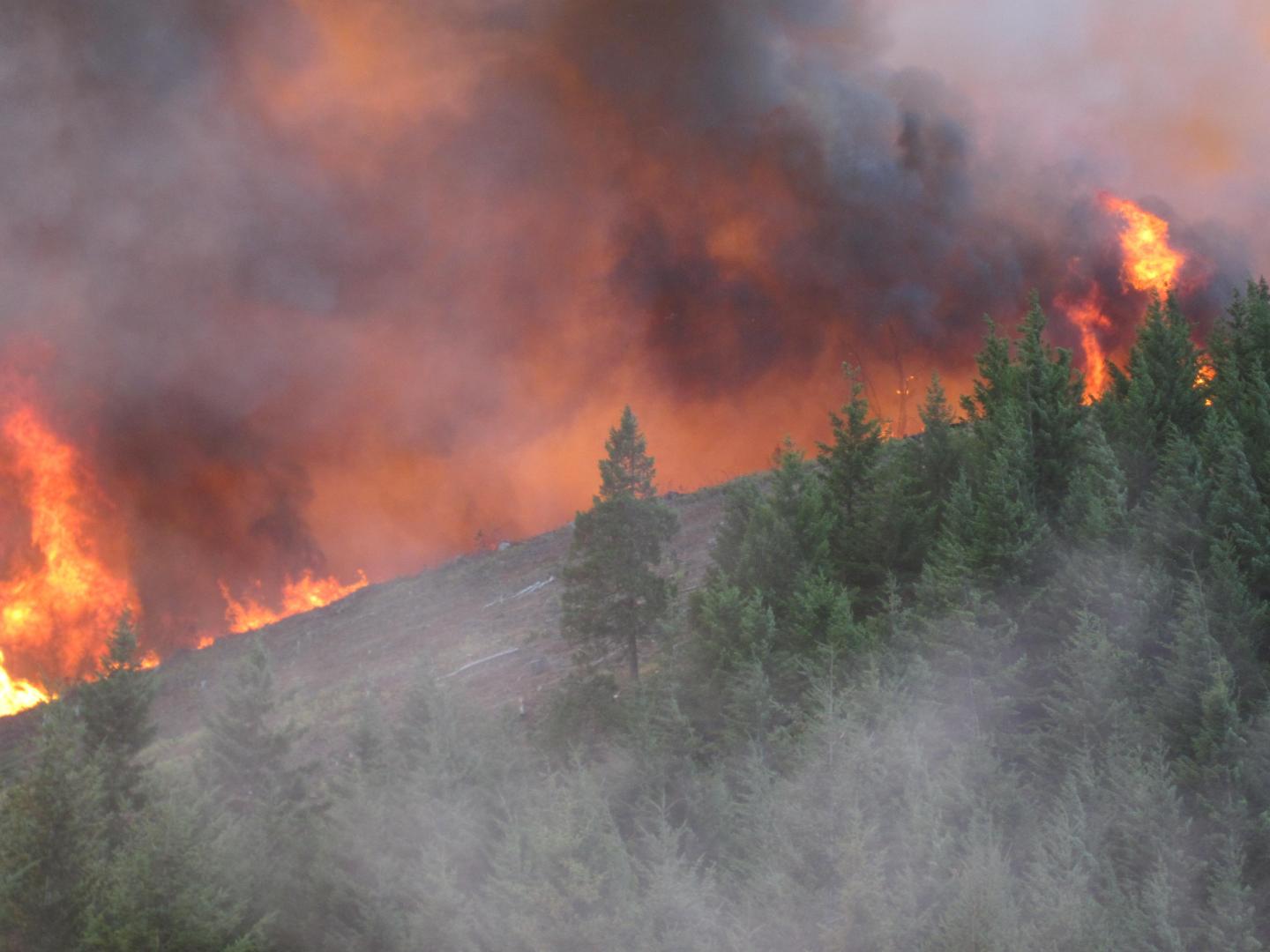 Douglas Complex Fire, 2013