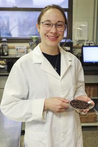 Looking to rice for 'clean label' ingredients - Pigmented Waxy Rice