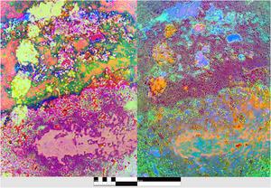 Psychedelic LEDMSI