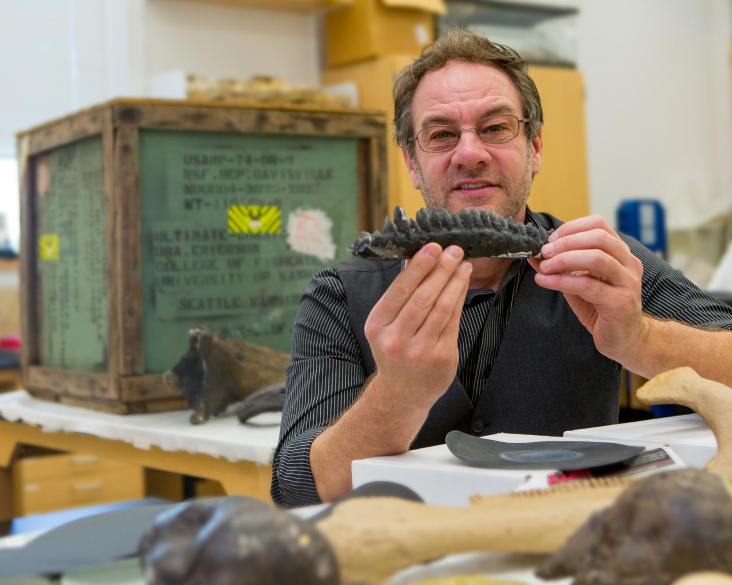 Study Reveals Complexity of <i>Triceratops</i>' Teeth