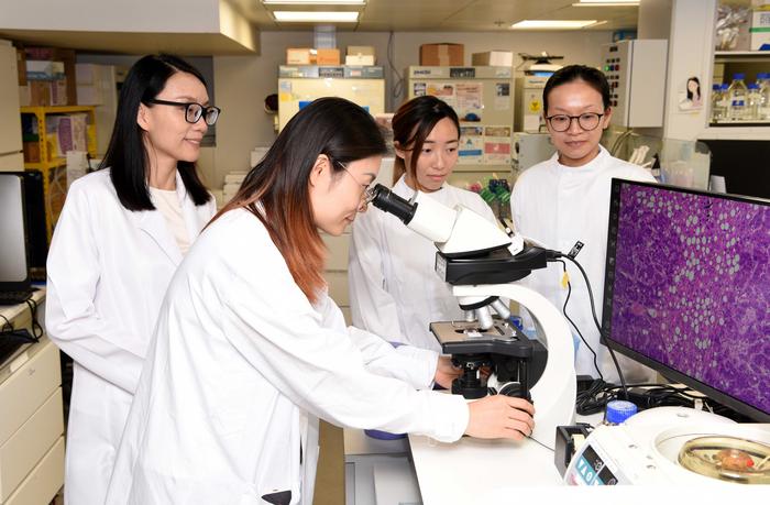 HKUMed researchers