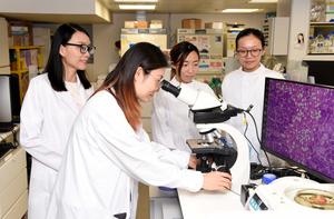 HKUMed researchers