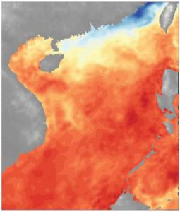 Sea temperature prediction