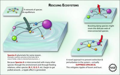 Rescuing Ecosystems