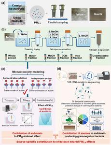 PolyU research reveals hidden health risks from urban airborne microbes: low concentration of bacterial toxins may trigger nearly 20% of inflammatory responses, while drug-resistant fungi may spread with the wind