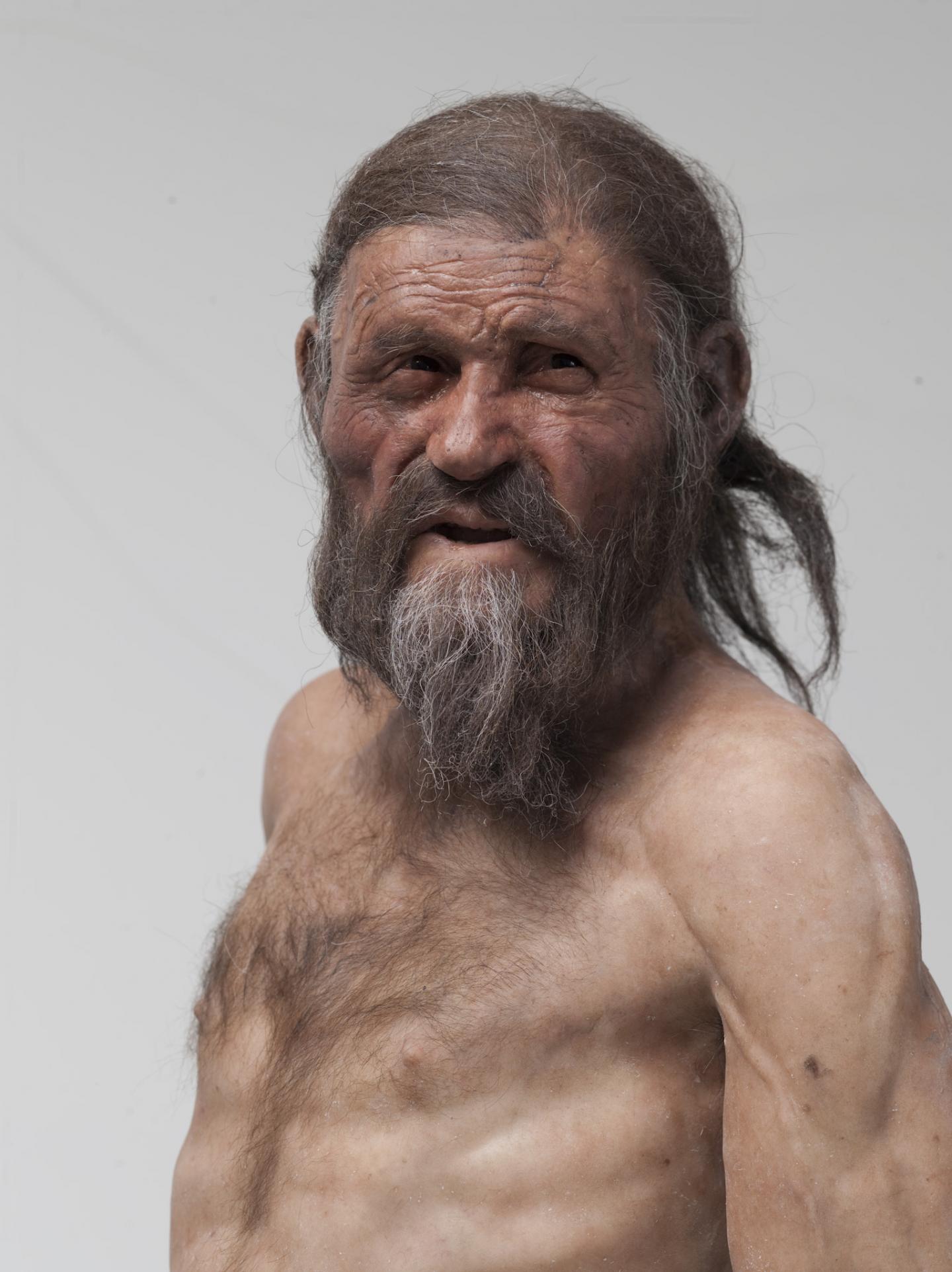 The Iceman's Gut Microbes Shed Light on Ancient Human Geography (2 of 3)