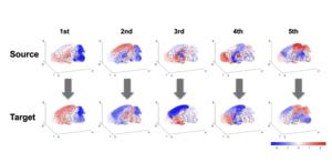 Mapping patterns of gene activity in the brain