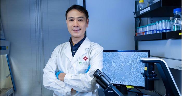 PolyU develops novel antibody targeting fat cell protein, offering new approach to treating metabolism-related liver cancer