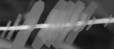 Nano-Shish-Kebabs (Close Image)