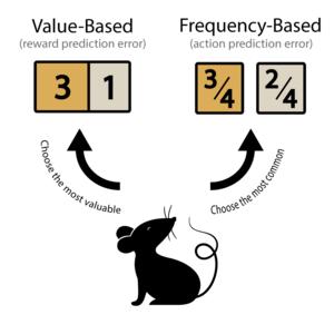 Dual dopaminergic teaching signals