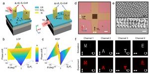 Figure 1 | Design of on-chip metasurface.
