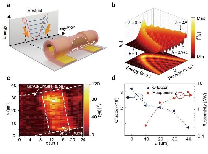 Figure | Working principle of the lobe-structured microtube resonator.