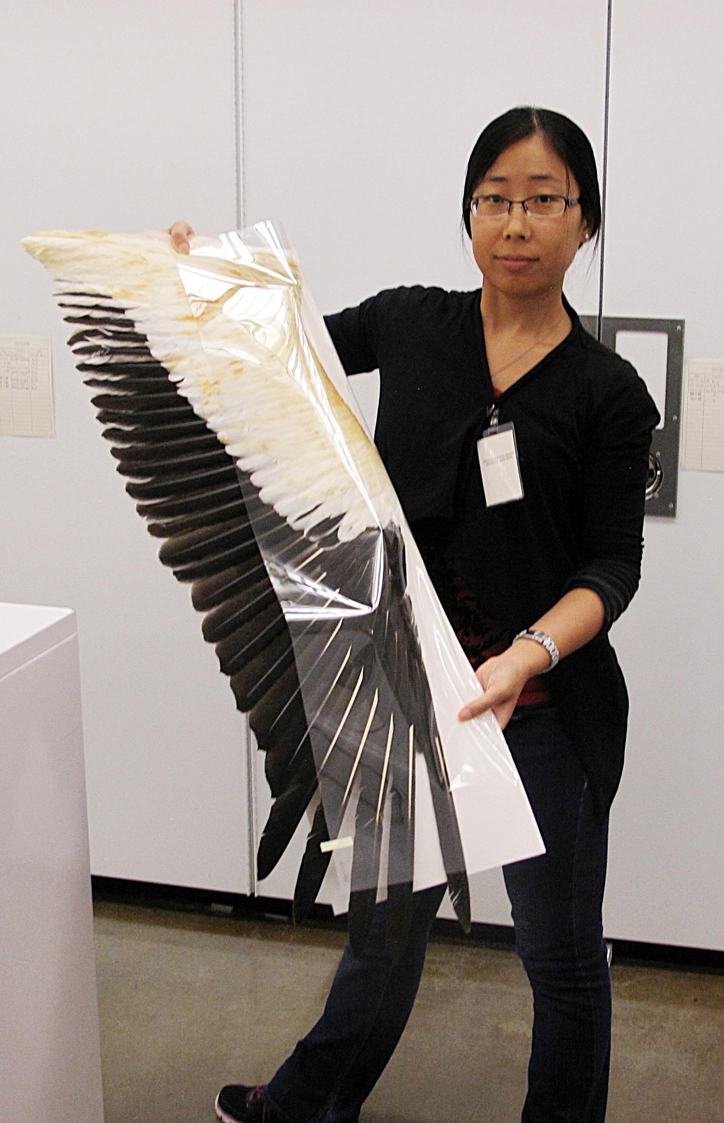 Xia Wang with Wing