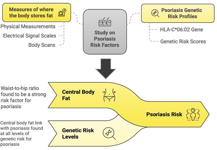 Location Matters: Belly Fat Compared to Overall Body Fat More Strongly Linked to Psoriasis Risk