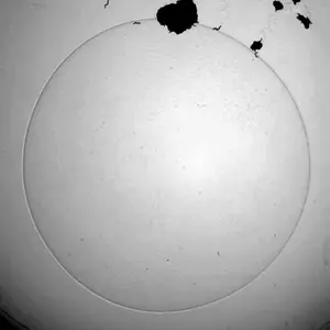 Time-lapse video of swarm formation in casy-1 mutant worms, demonstrating aggregate feeding and coordinated movement across the food lawn boundary