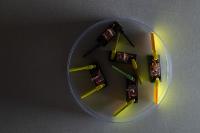 Light Hits a Smarticle (Smart Active Particle) Causing It to Stop Moving, while the Other Smarticles
