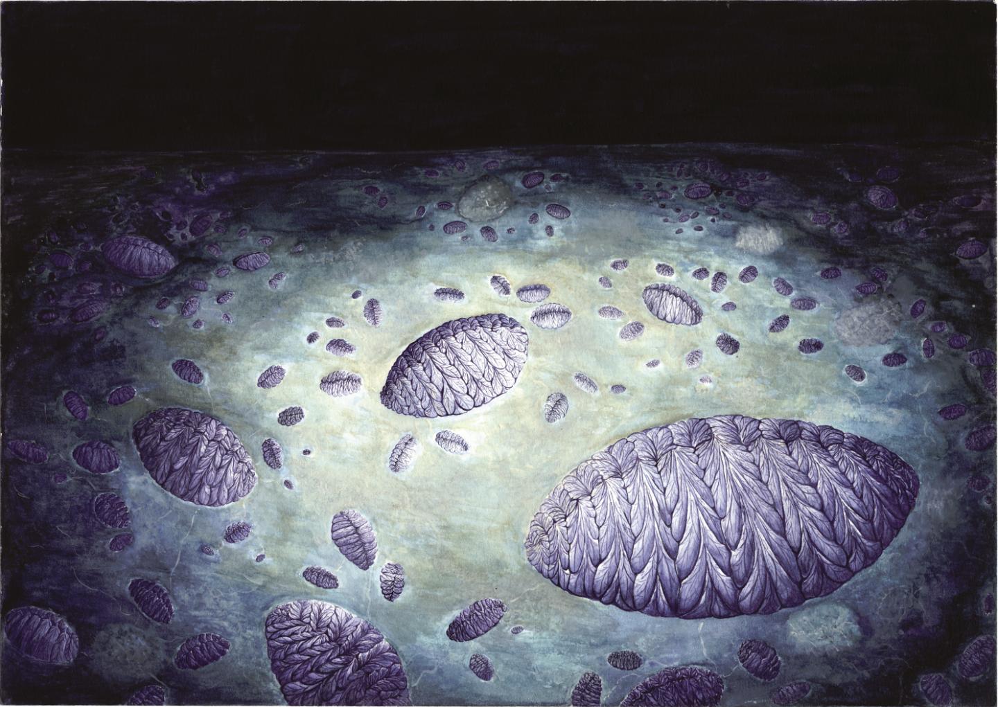 Artist's Reconstruction of Fractofusus Community