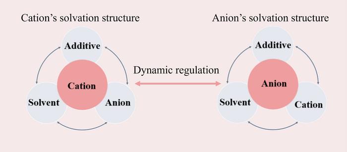 Synergistic complementarity between cation and anion solvation structures