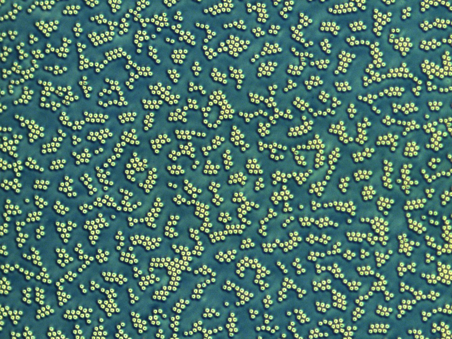 Clusters of Solitons