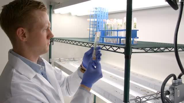 UK Partners with Space Tango to See How Microgravity Affects Plant Growth in Space