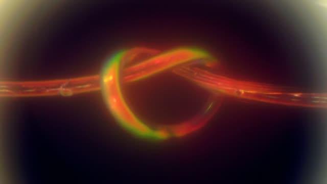 Color-Changing Fiber and Theory Reveal Fundamental Mystery of Knots (11 of 12)