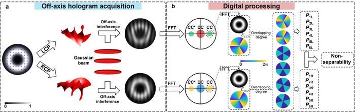 Figure 1 | Concept of the proposed coherent detector for the non-separability measurement of vectorial structured light.