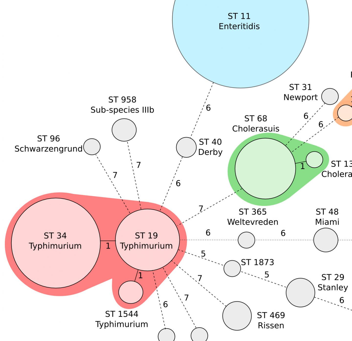 Risk Factors, Features and Outcomes Associated with Invasive Non-Typhoidal Salmonella in Vietnam