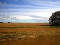 High Marsh