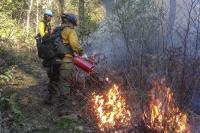 Fire Management 1 Horiz