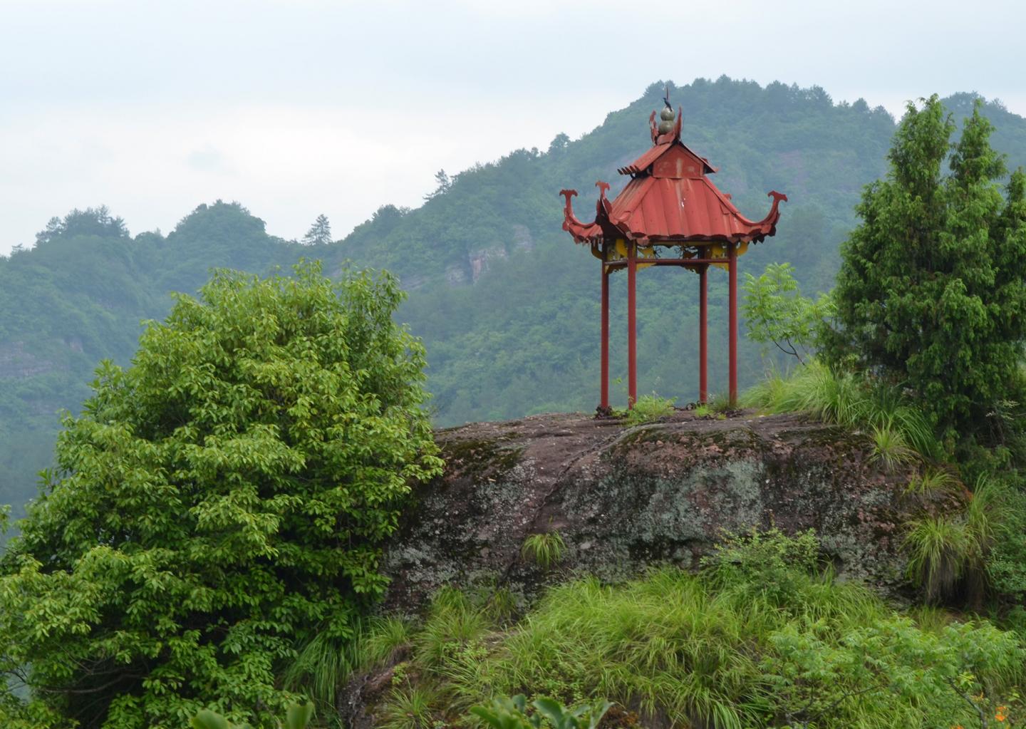 Distinct East-Wide Divide in China's Flowering Plant Lineages