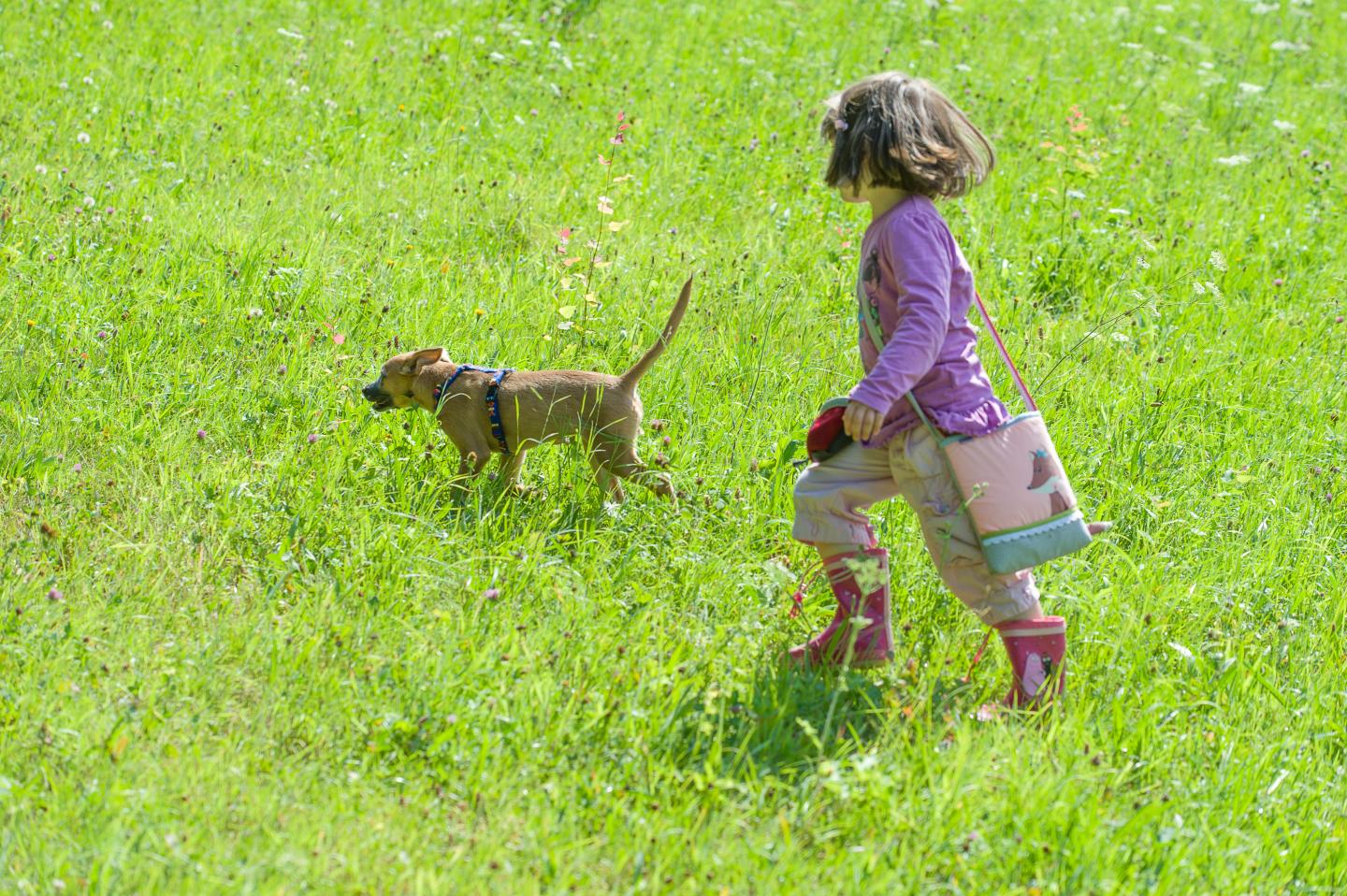 Child and Dog