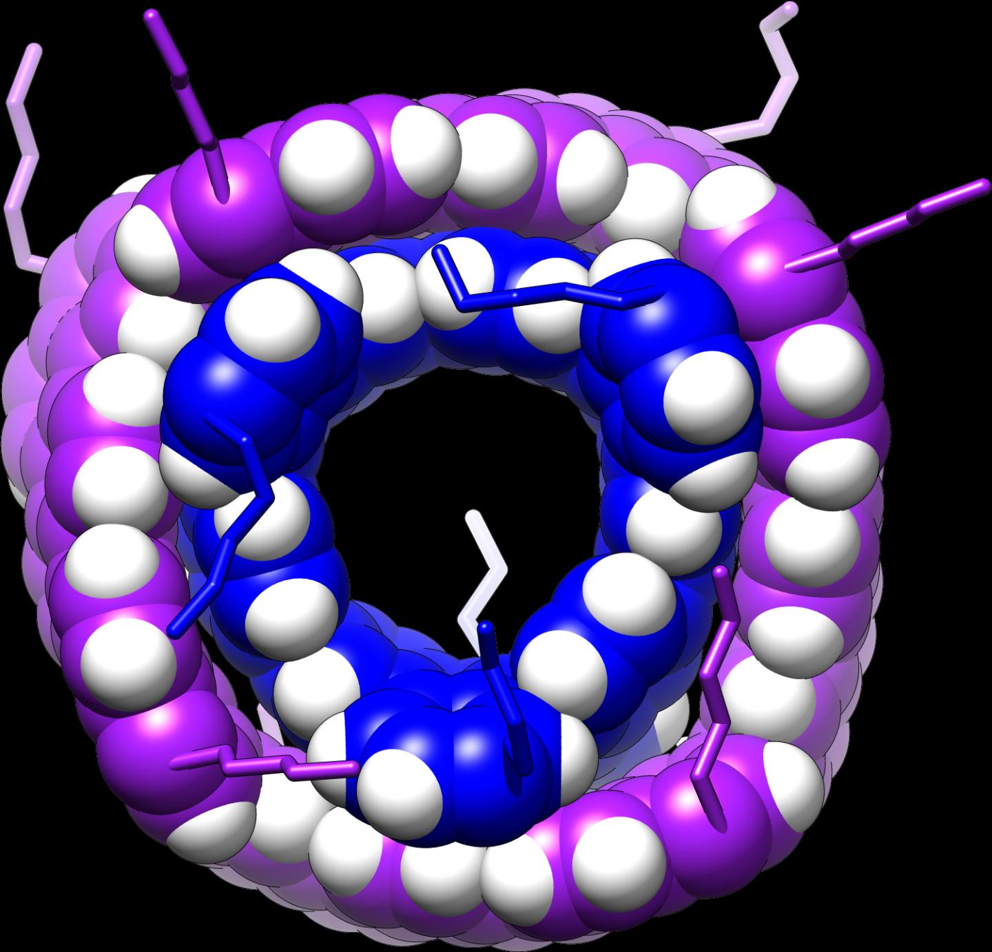 MolecularMmoiré