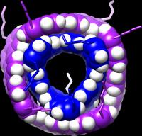 MolecularMmoiré