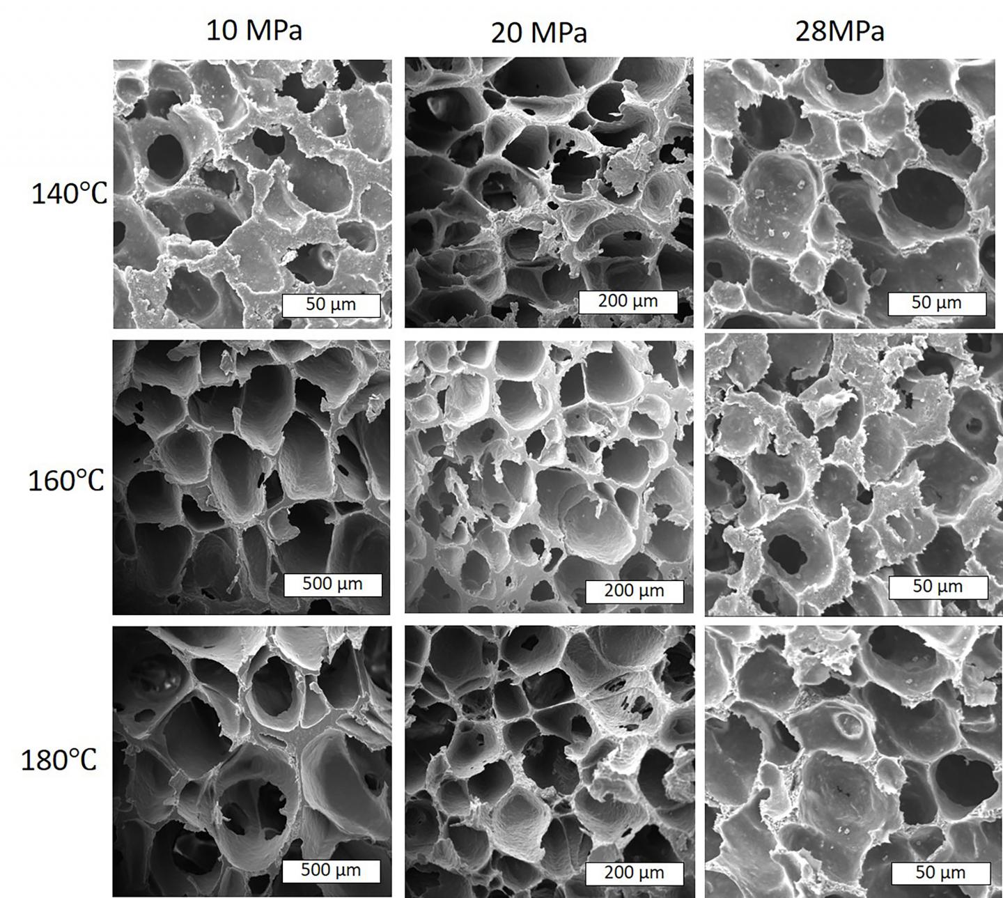 Turning Plastic into Foam to Combat Pollution