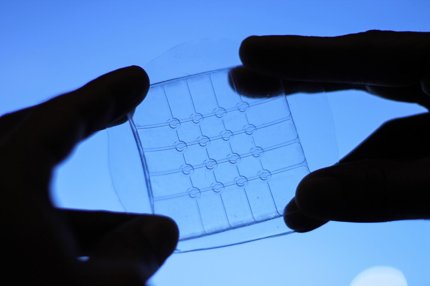 Transparent Pad Can Detect Touch Even While Being Bent (1 of 13)